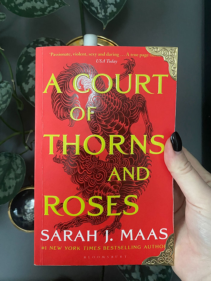 A person holding "A Court of Thorns and Roses" book, a recommended read after "Onyx Storm."