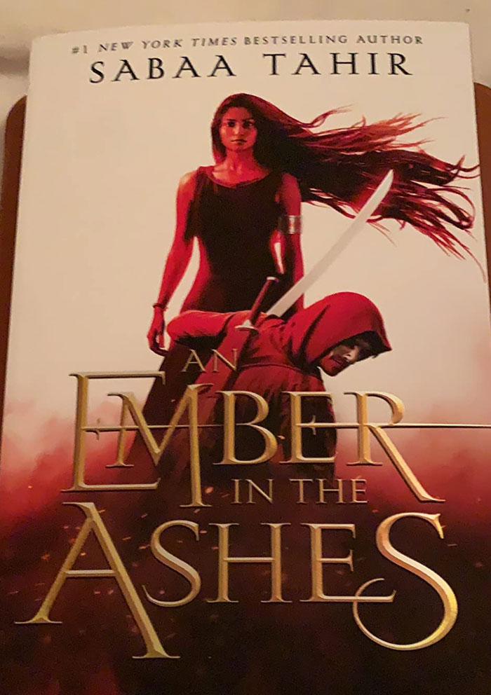 "An Ember in the Ashes book cover featuring two characters with a sword, recommended if you liked Onyx Storm."