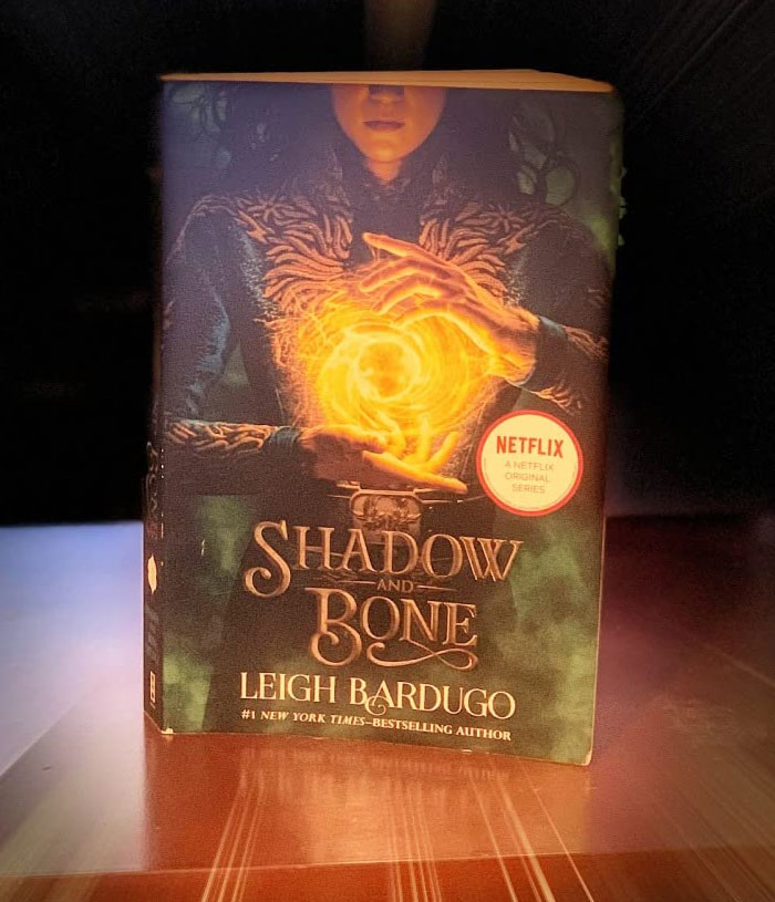 "Shadow and Bone book by Leigh Bardugo with glowing orb on cover, suggested for fans of 'Onyx Storm'."