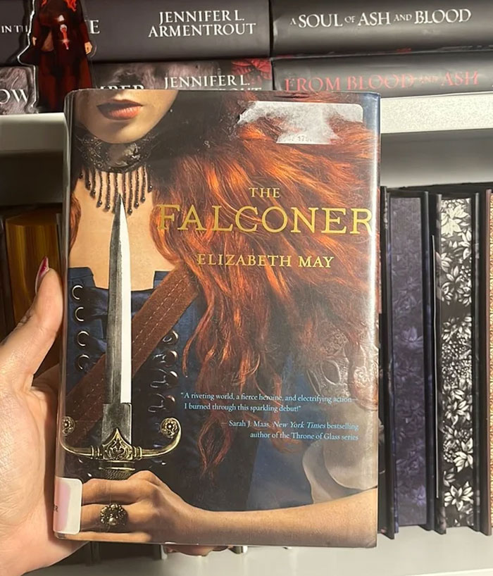 Cover of "The Falconer" by Elizabeth May, a recommended read after finishing Onyx Storm by Rebecca Yarros.