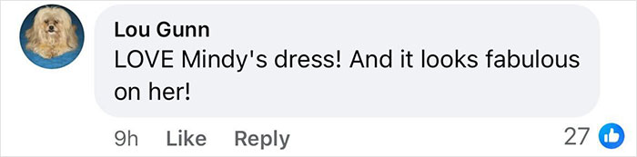 Comment praising Mindy Kaling's dress and appearance at a premiere on social media.