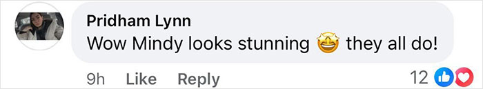 Social media comment praising Mindy Kaling's stunning look at a premiere.