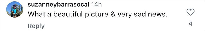Comment under an Instagram post mentioning "beautiful picture & sad news" with four likes.