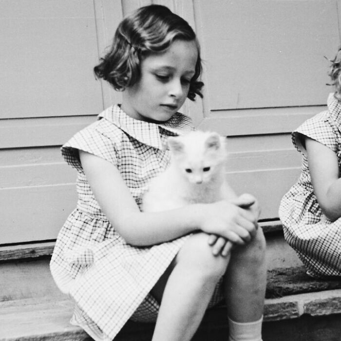 A young girl in a vintage dress, sitting on steps, holding a small white cat, classic vintage-cat-photos vibe.