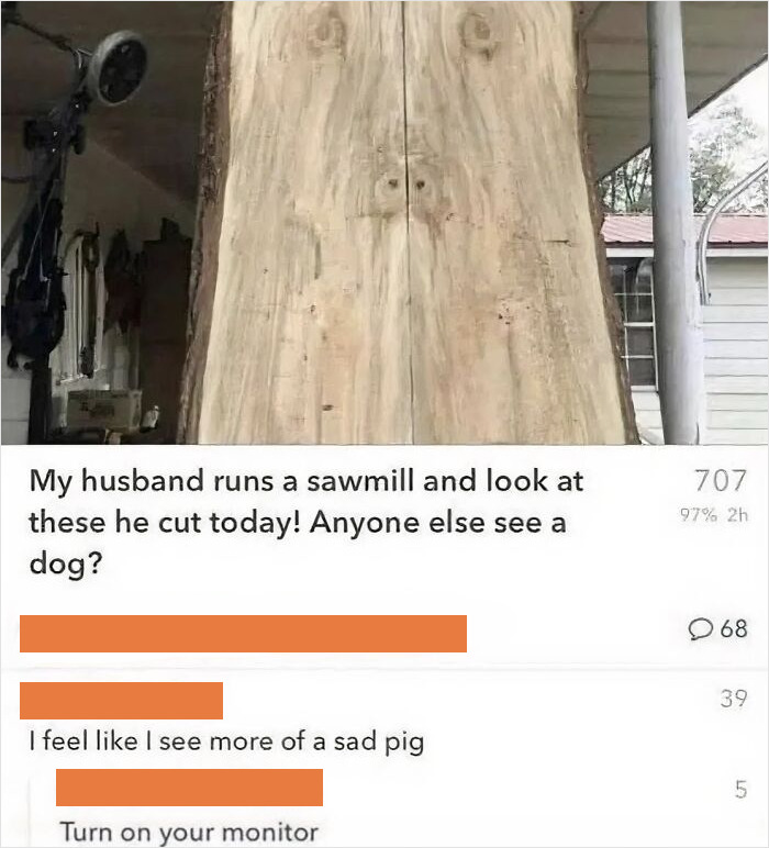 A sawmill timber piece sparking humorous comments about seeing animals in the wood grain.