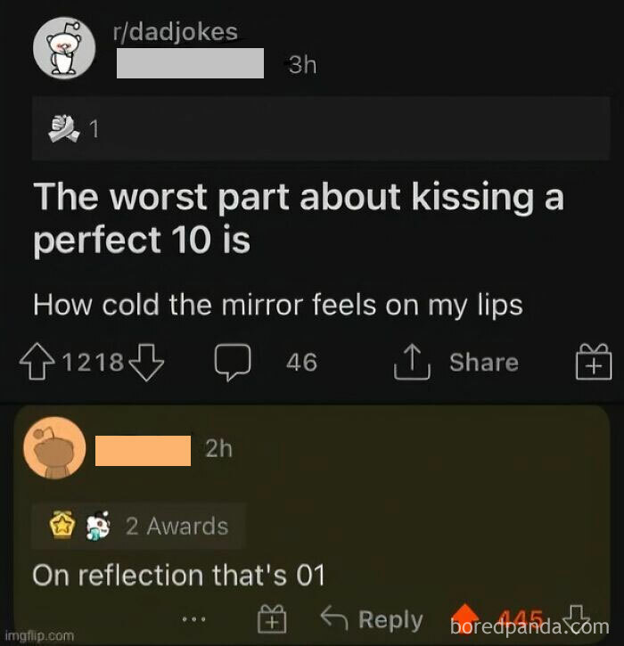 Reddit joke about kissing a perfect 10 and cold mirrors, with a witty reflection comeback below.