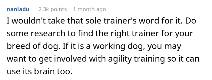 Comment about finding the right dog trainer and agility training for untrainable dogs.