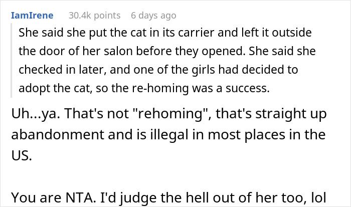 Text exchange about "re-homing" a cat, with one person criticizing it as abandonment.