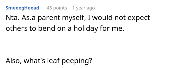 Comment discussing expectations of parents on holidays and questioning leaf peeping, related to vacation nanny and cook issues.