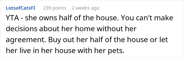 Comment discussing house ownership and decision-making about cats, mentioning shared living space and pet ownership rights.