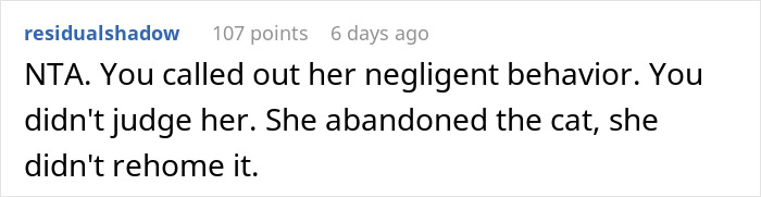 Screenshot of a comment criticizing a woman's behavior for abandoning, not re-homing, her cat.