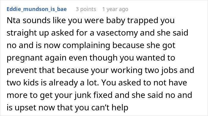 Reddit comment discussing refusal of vasectomy and parenting issues with newborn twins.
