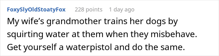 User comment about grandmother training dogs with a water pistol for misbehavior.