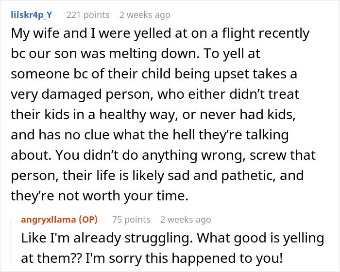 Reddit comments about an angry lady on a plane criticizing a mom with a toddler. Reddit comments about an angry lady on a plane criticizing a mom with a toddler.