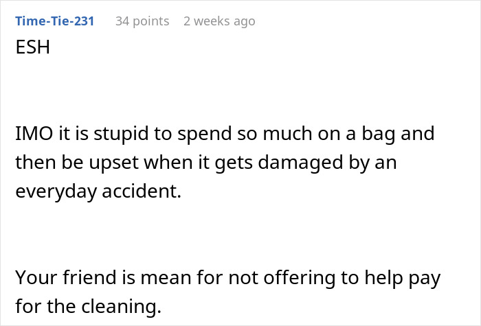 Comment discussing the fairness of asking a friend to pay for a leather bag cleaning after an accident.