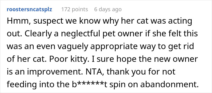 Comment criticizing a woman for abandoning her cat on the street, highlighting neglectful pet ownership.