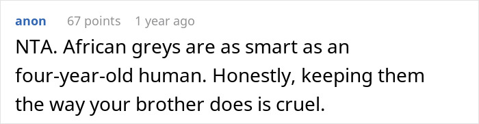 Reddit comment about African grey parrots, mentioning their intelligence and criticizing poor pet care.