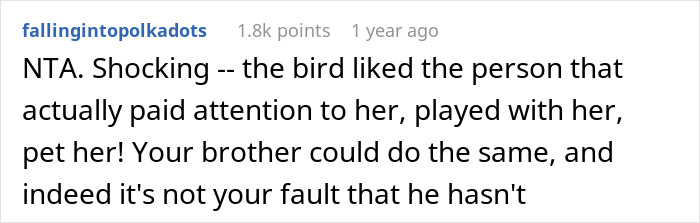 Comment discussing parrot preferring sibling over owner due to attention and care.