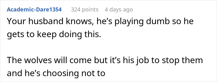 Online comment discussing husband's behavior towards 'work wife' situation.