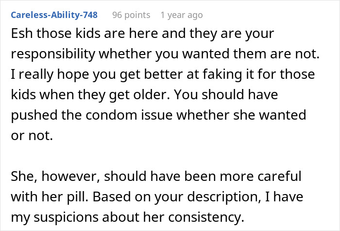 Reddit comment discussing parental responsibility and family planning disagreements.