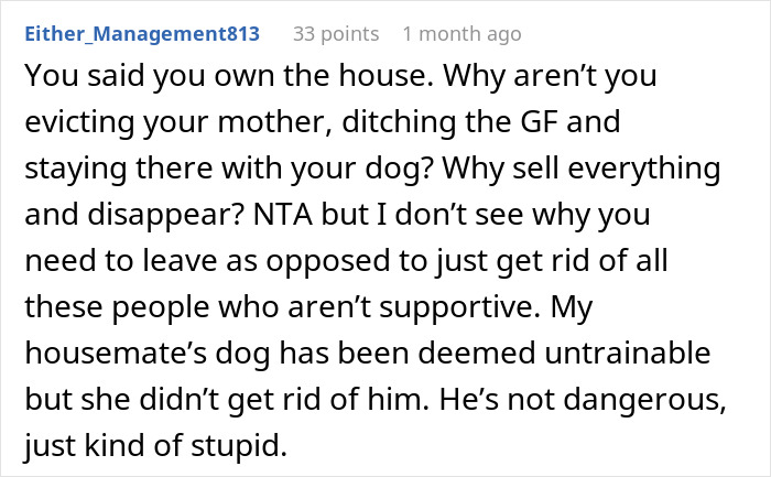 Text from online discussion on untrainable dog and relationship advice.