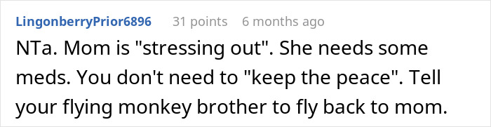 Reddit comment criticizing a mom stressing out and advising to tell a brother to return to her. Reddit comment criticizing a mom stressing out and advising to tell a brother to return to her.