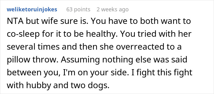Reddit comment discussing co-sleeping and wife's reaction to husband tossing a pillow.