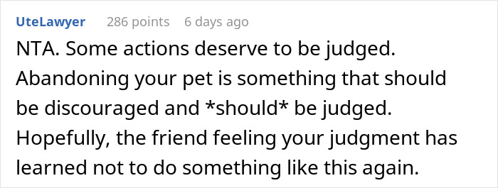 Text response criticizing a woman for re-homing her cat by abandoning it on the street.