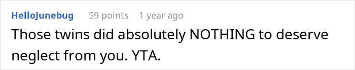 Comment criticizing a dad's neglect of newborn twins due to vasectomy dispute.