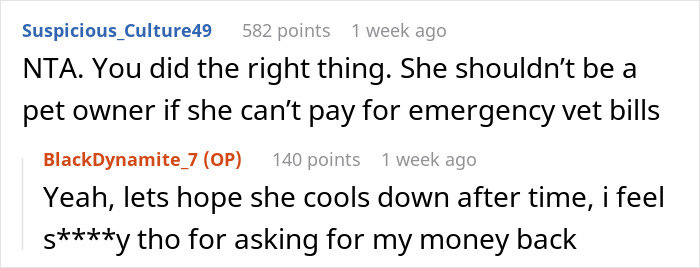 Comments discussing a situation where someone brings a dog to an expensive vet while pet sitting.