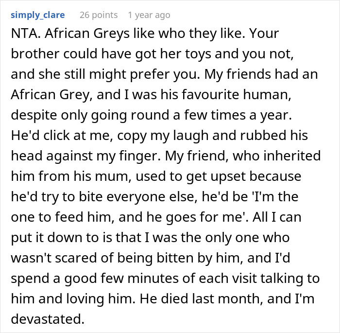 Text discusses African Greys choosing favorite humans, causing frustration for a pet owner.