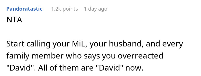 Reddit comment suggesting to rename family members "David" in response to MIL renaming grandson.
