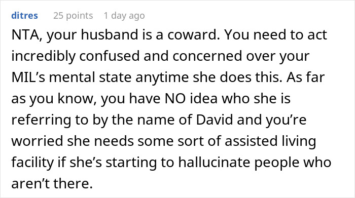 Reddit comment discussing MIL renaming grandson and DIL's reaction.