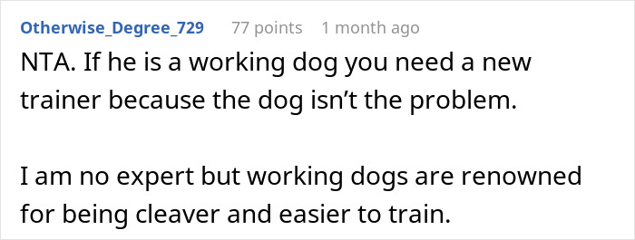 Comment discussing working dogs and the importance of a good trainer for dogs deemed untrainable.