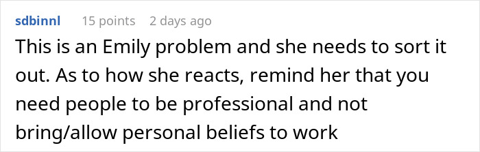 Text comment discussing workplace professionalism in context of colleague conflicts.