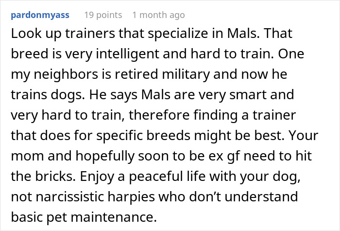 Comment discussing untrainable dog, advising owner to find a specialized trainer for the breed and encouraging patience.