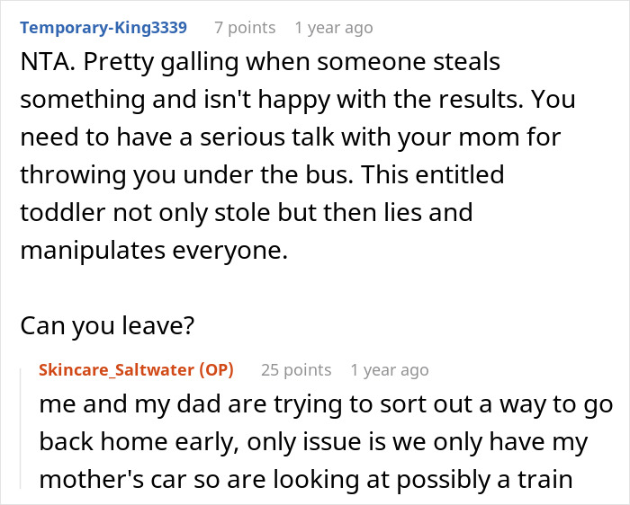 Reddit conversation discussing a teen's expensive skincare being misused by their SIL.