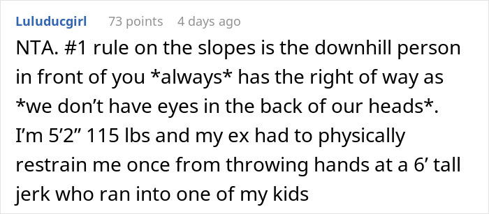 Text comment discussing ski patrol report after collision on beginner trail.