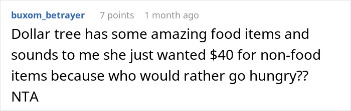 Reddit comment discussing groceries from Dollar Tree, questioning spending $40 on non-food items, and saying "NTA".