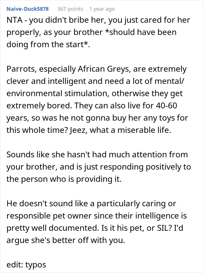 Reddit comment discussing responsible pet parenting regarding parrot care and stimulation.