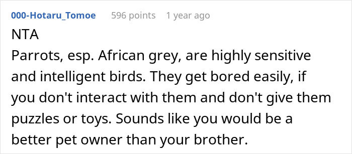 Comment discussing that parrots prefer attentive pet parents, mentioning African grey parrots' need for stimulation.