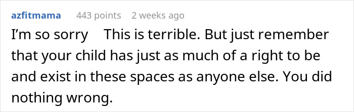 Reddit comment expressing support for a mom on a plane dealing with an unruly toddler incident. Reddit comment expressing support for a mom on a plane dealing with an unruly toddler incident.