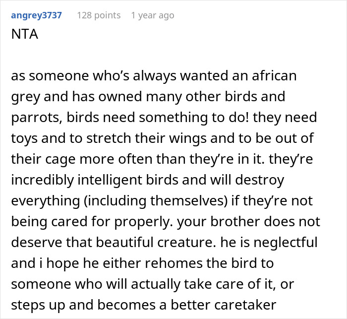 User comment discussing neglectful parrot pet parent and advice on bird care.