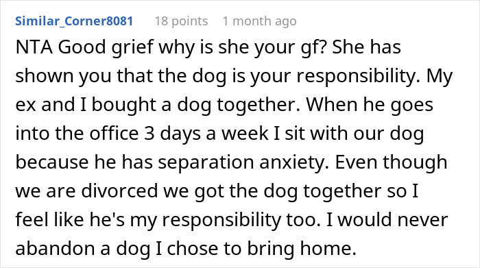 Reddit comment discussing responsibility for an untrainable dog and commitment despite challenges.