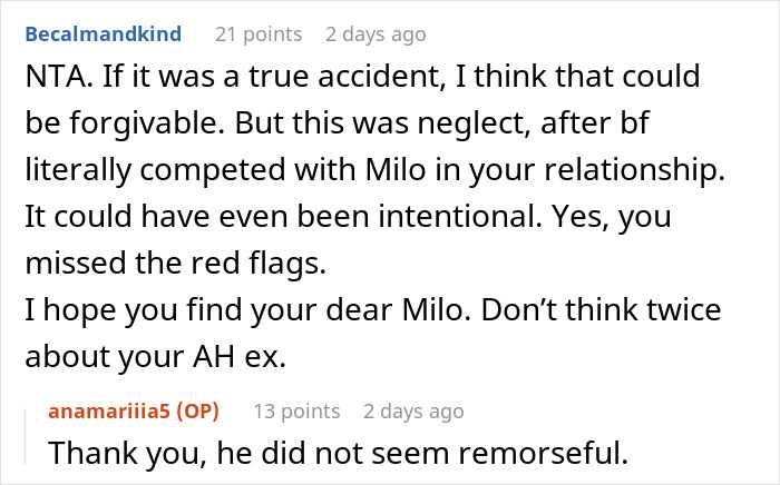 Reddit comments discussing a lost dog incident and issues with a boyfriend's behavior.