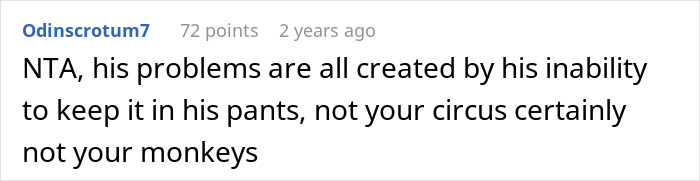 Comment screenshot about a woman's ex's affair child and related issues. Comment screenshot about a woman's ex's affair child and related issues.
