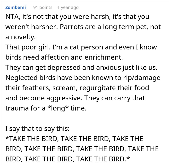 Reddit comment about parrot care and pet parenting advice.