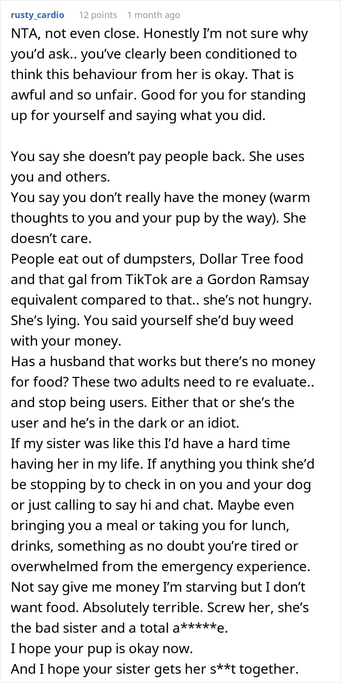 Reddit comment discussing offering groceries from Dollar Tree and addressing family dynamics.