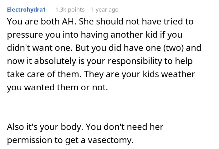 Reddit comment about a dad refusing to help with newborn twins, discussing vasectomy and shared parental responsibility.