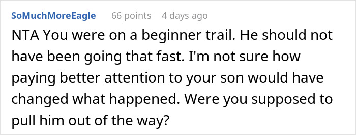 Reddit comment about a skier hitting an 11-year-old on a beginner trail, discussing responsibility.